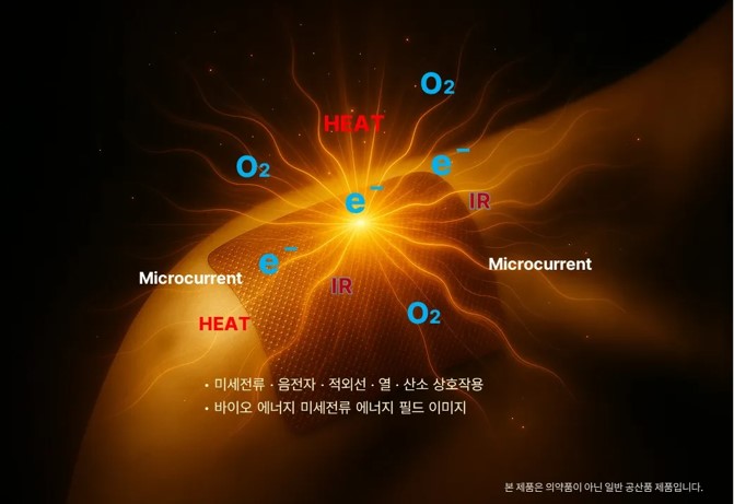 화면 캡처 2026-07-12 161855.jpg